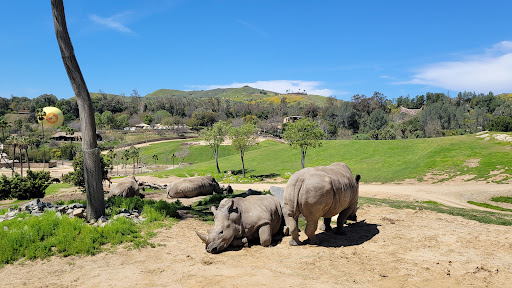 San Diego Zoo Safari Park is a world-renowned wildlife sanctuary located in Escondido, California. Spread across 1,800 acres of sprawling savannas and lush habitats, the park is home to over 3,700 animals representing over 300 species.

Key attractions and experiences at the San Diego Zoo Safari Park include:

    Wildlife Safari: Embark on an unforgettable safari adventure through the park's open-air enclosures, encountering rhinos, giraffes, wildebeest, and other magnificent animals in their natural habitats.
    Behind-the-Scenes Safaris: Gain exclusive access to the park's animal care facilities and learn about the conservation efforts underway.
    Cart Safaris: Enjoy a leisurely ride through the park aboard a guided cart safari, providing a unique perspective on the wildlife and habitats.
    Roar & Snore Safaris: Spend a night under the stars at the park's Roar & Snore Safari, camping alongside some of the world's most iconic animals.
    Wildlife Trek: Get up close and personal with some of the park's most fascinating animals on a guided walking tour.
    Elephant Valley: Witness the majestic African elephants in their natural habitat and learn about their behavior and conservation.
    Botanical Gardens: Explore the park's beautiful botanical gardens, showcasing a diverse collection of plants from around the world.

With its commitment to conservation and education, San Diego Zoo Safari Park offers a truly immersive and unforgettable wildlife experience for visitors of all ages.